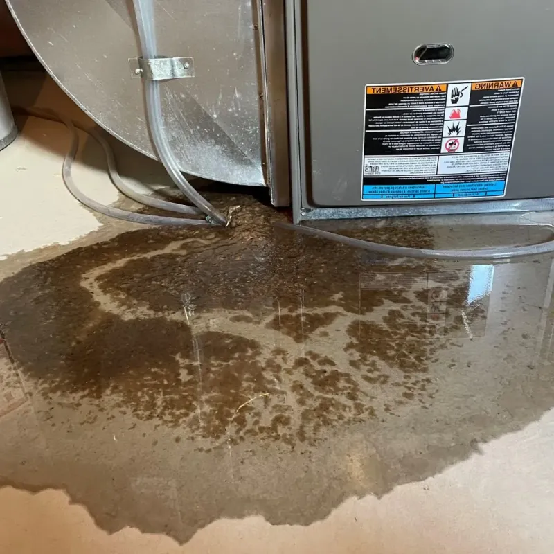 Pipe Burst and Leak Restoration in Tuckahoe, VA