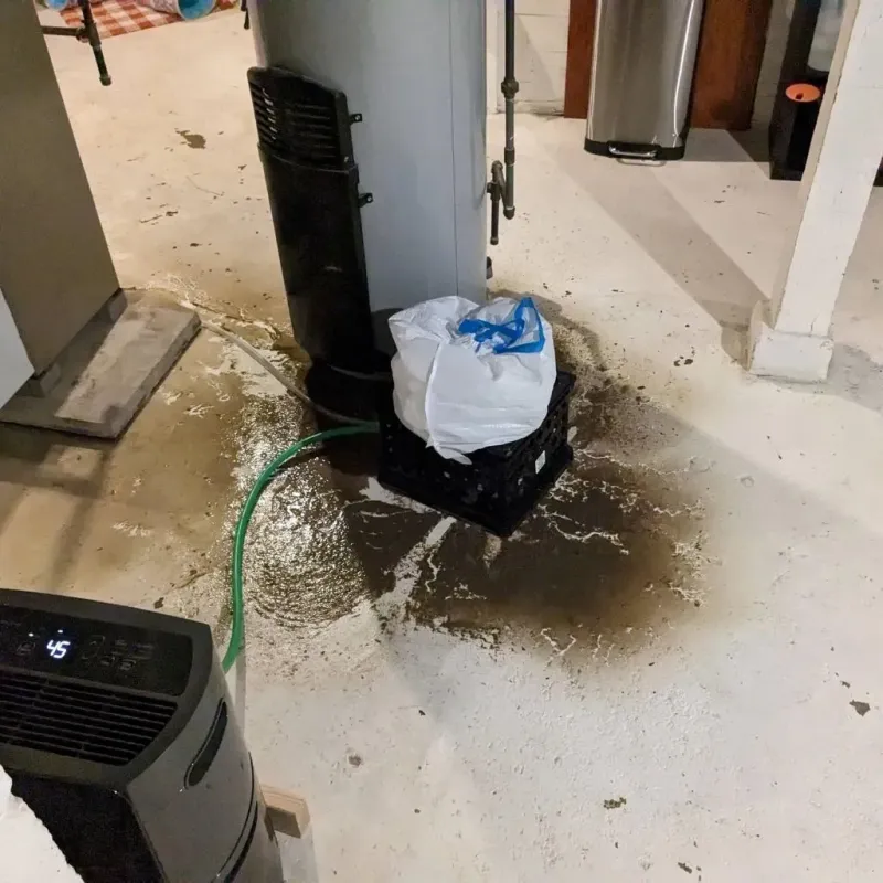 Sewage Backup Cleanup Service in Tuckahoe, VA